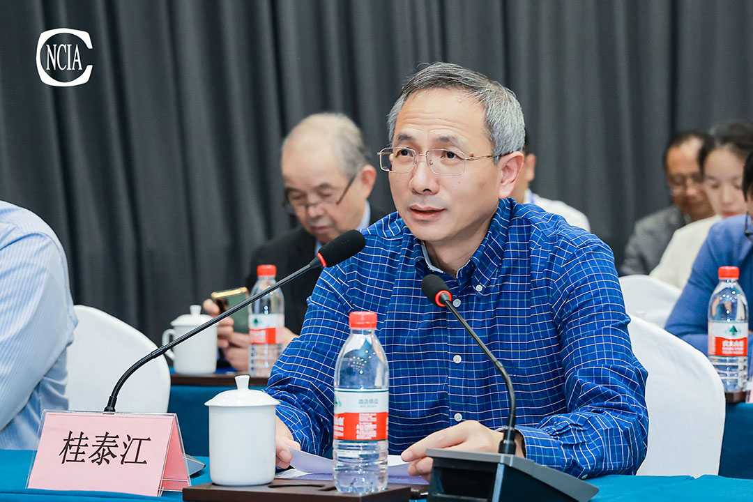 中國涂料工業(yè)協(xié)會技術(shù)專家工作委員會主任桂泰江